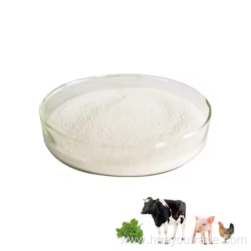 0regano oil powder 20% for animal feed